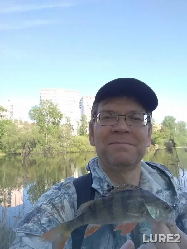 Bleak, Perch — Savvinskiy, May 12, 2019