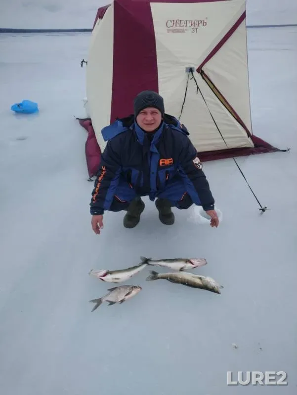 Bream, Pike — Yauzskoye, Mar 20, 2019