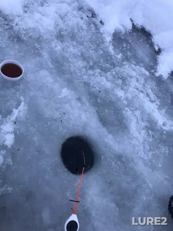 Perch — Kudinovka, Jan 13, 2019