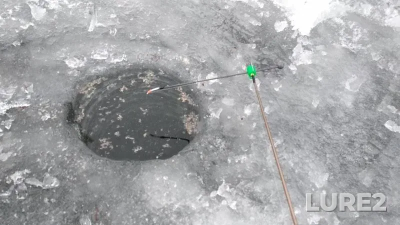 Perch, Roach — Kudinovka, Jan 12, 2019