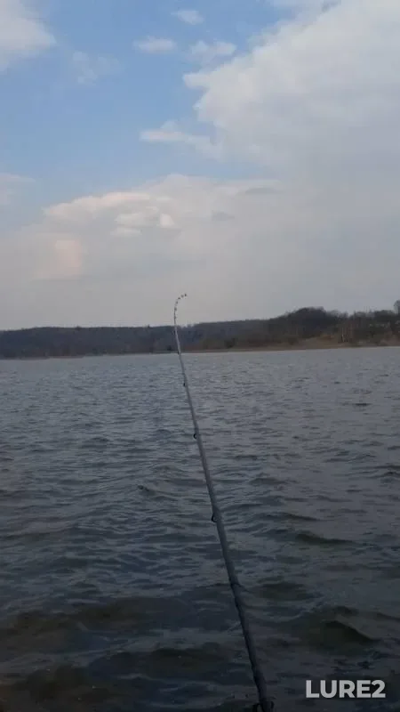Bream, Roach — Dresna, Apr 23, 2019