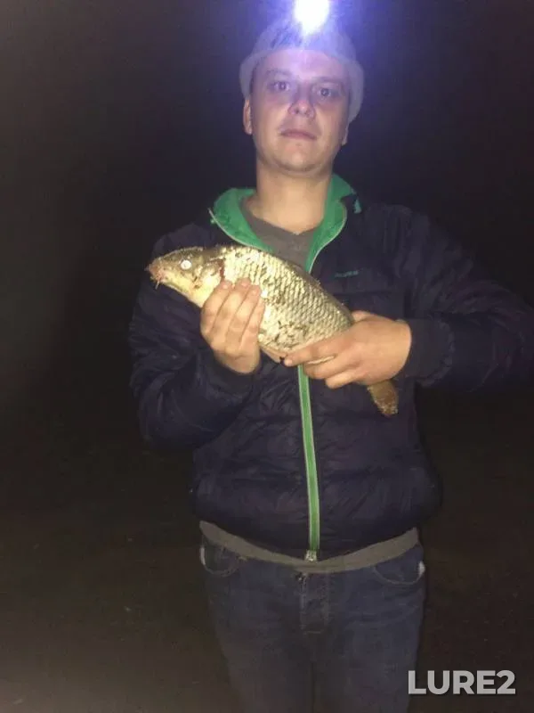 Carp — Dnestr, May 03, 2017