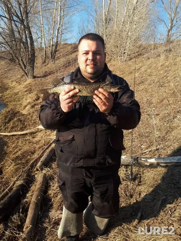 Perch, Pike — Zhayyқ - Ural, Apr 23, 2019