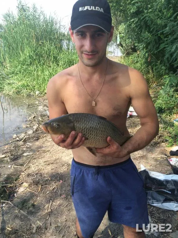 Bream, Carp — Turunchuk, Aug 31, 2016
