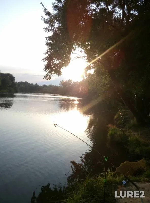 Carp — Turunchuk, Aug 22, 2016