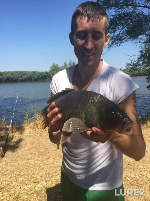 Carp — Turunchuk, Aug 14, 2016