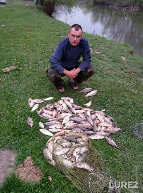 Crucian carp — Turunchuk, Apr 10, 2016