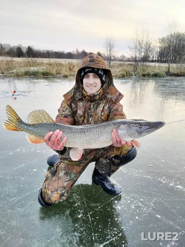 Pike — Svyatoye, Nov 25, 2019
