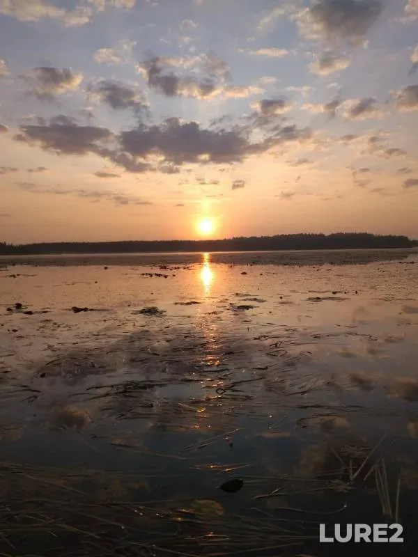 Crucian carp — Pyrskoye, Sep 10, 2019
