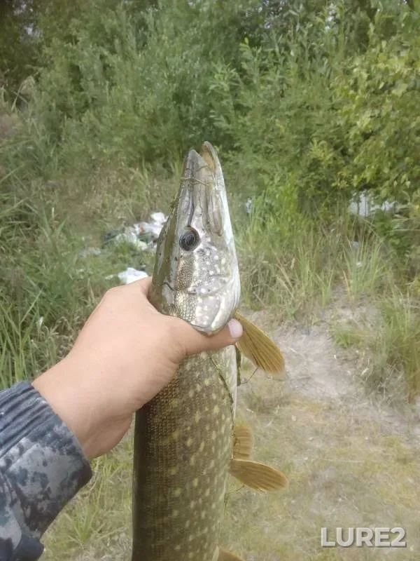 Pike — Zaryovskiy karyer, Aug 03, 2019