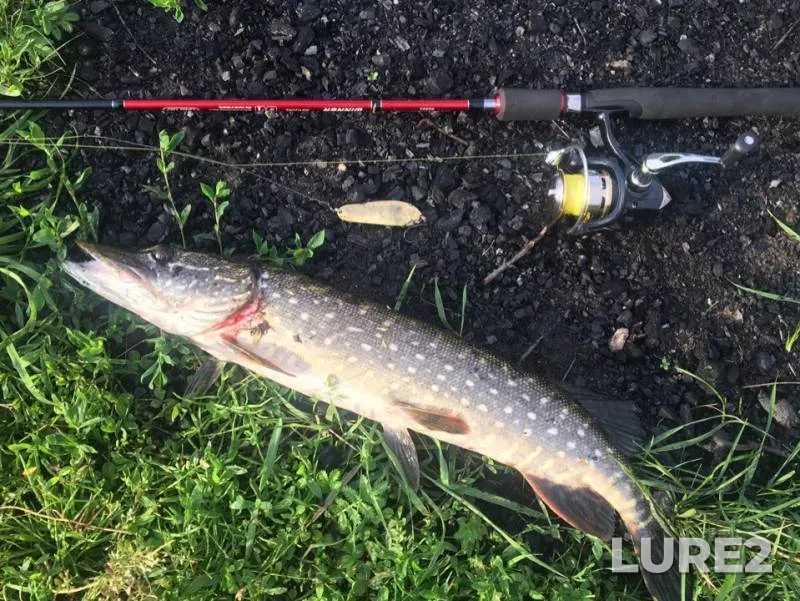 Pike — Sovets, Jul 18, 2019