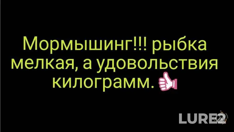 Perch — Zaryovskiy karyer, Jul 08, 2019