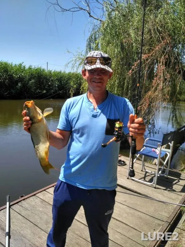 Carp — Krasnodarskiy kray, Slavyanskiy rayon, Jul 04, 2019