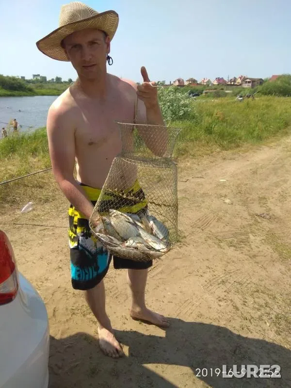 Bream — Seymovskiy zaton, Jun 09, 2019