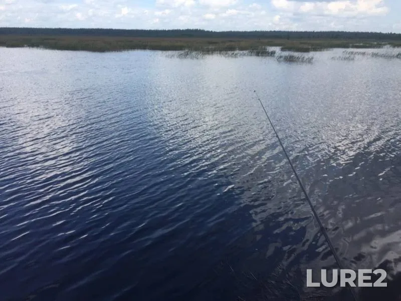 Crucian carp — Seyma, Jun 02, 2019