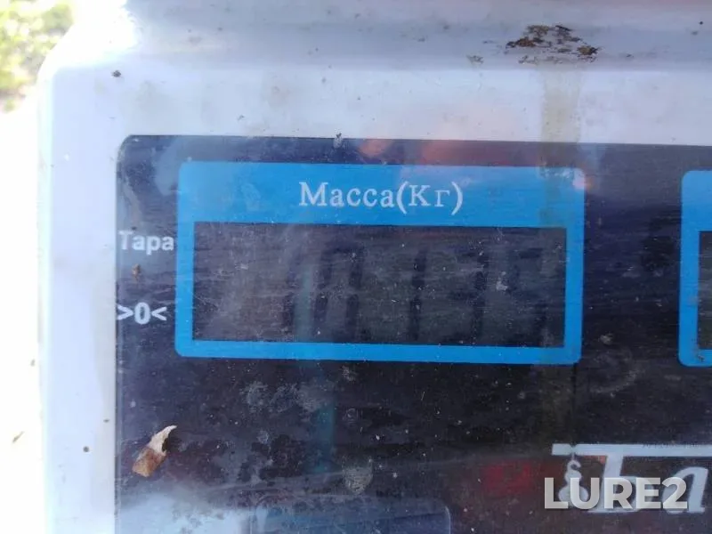 Carp — Prutishche, Jul 01, 2019