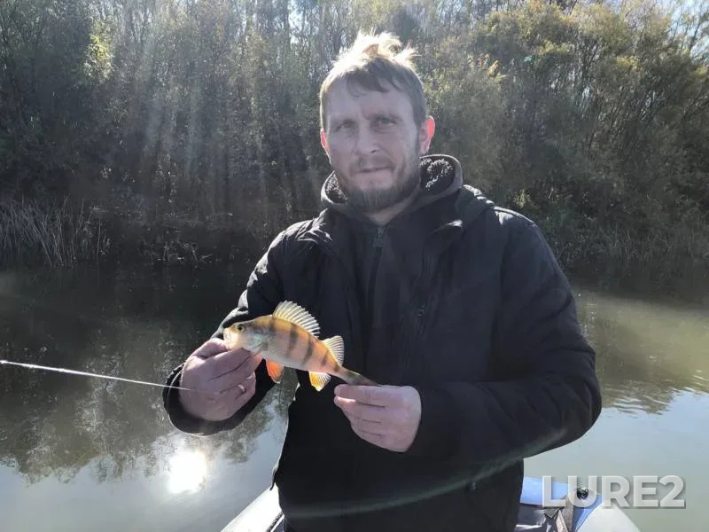 Asp, Perch — Belaya, Oct 06, 2019