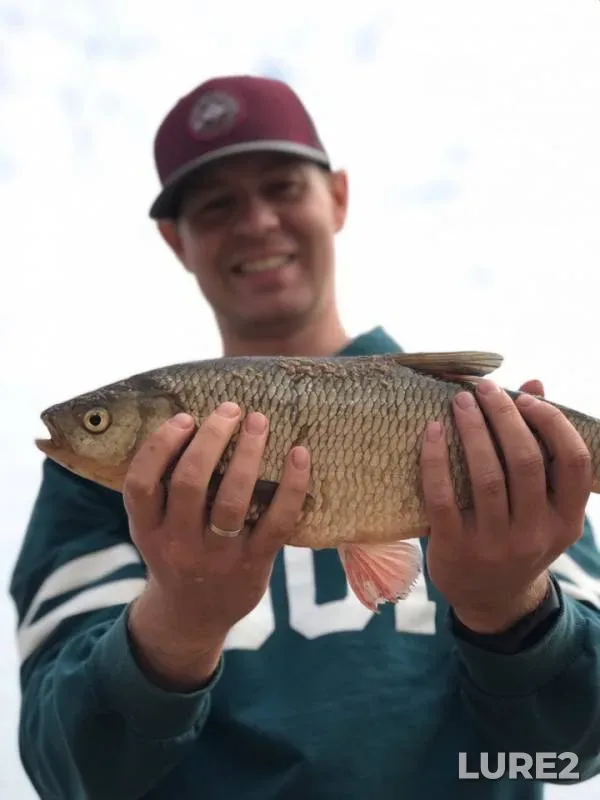 Bream, Ide — Volga, May 10, 2019