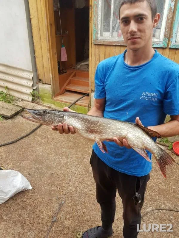 Asp, Pike — Respublika Bashkortostan, Sep 08, 2019