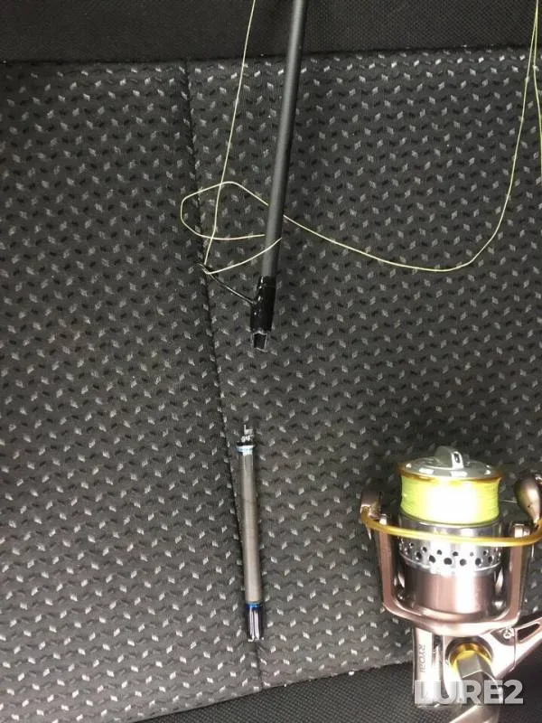Perch, Pike — Borkovskoy zaton, Jan 14, 2019