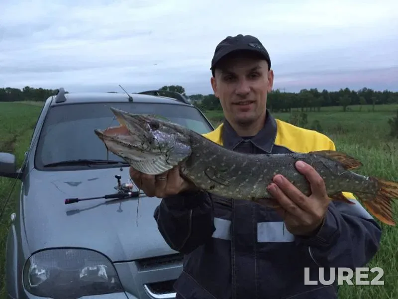 Pike — Kemerovskaya oblast, Jul 03, 2019
