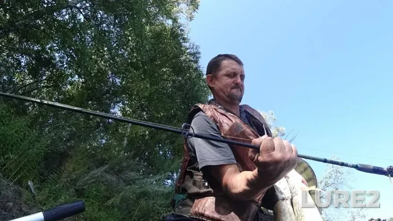 Perch, Pike — Ob, Aug 04, 2019