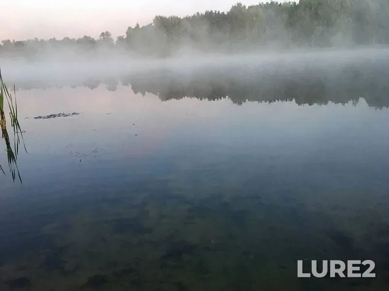 Perch — Yuzhnyy, Aug 23, 2019