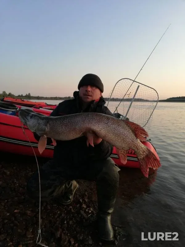 Pike — Chaya, Aug 31, 2019