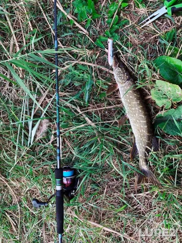 Pike — Malyy Gok, Sep 20, 2019