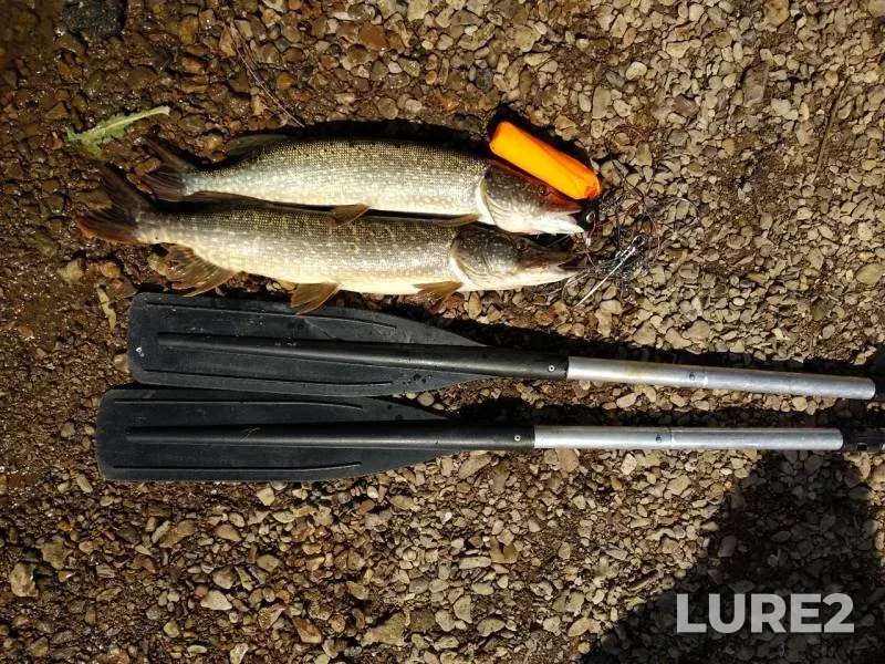 Pike — Ufa, Jun 12, 2019