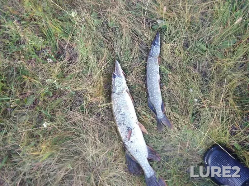 Pike — Karaganka, Jul 27, 2019