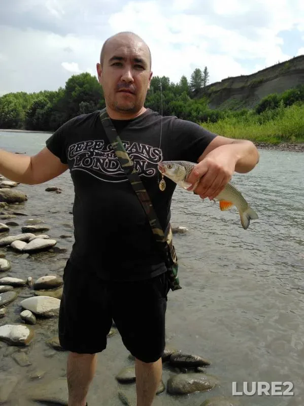 Chub — Belaya, Jul 28, 2018
