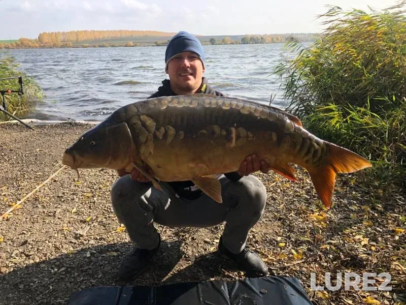 Carp — Golodyayevskiy, Oct 07, 2019
