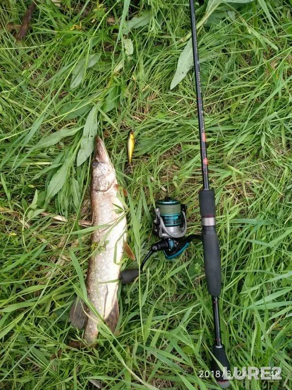 Pike — Vitkurya, Jun 24, 2018
