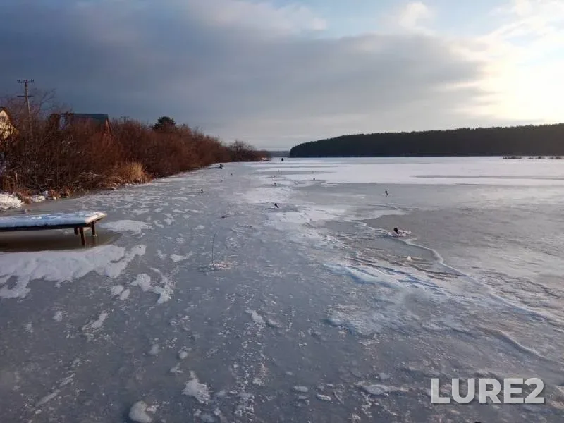 Pike — Petrokamenskoye, Nov 03, 2019
