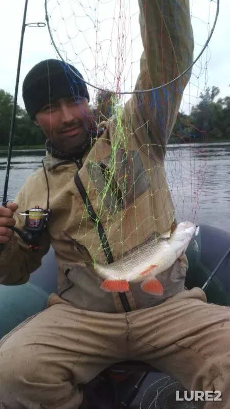 Chub — Ufa, Aug 03, 2019