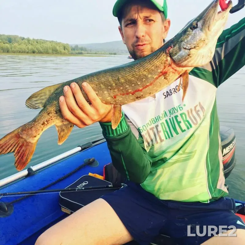 Pike — Nugushskoye, Jul 28, 2019