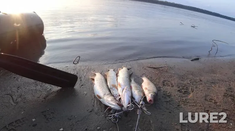Pike — Ob, Jul 20, 2019