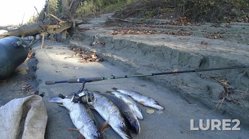 Pike — Ob, Sep 30, 2018