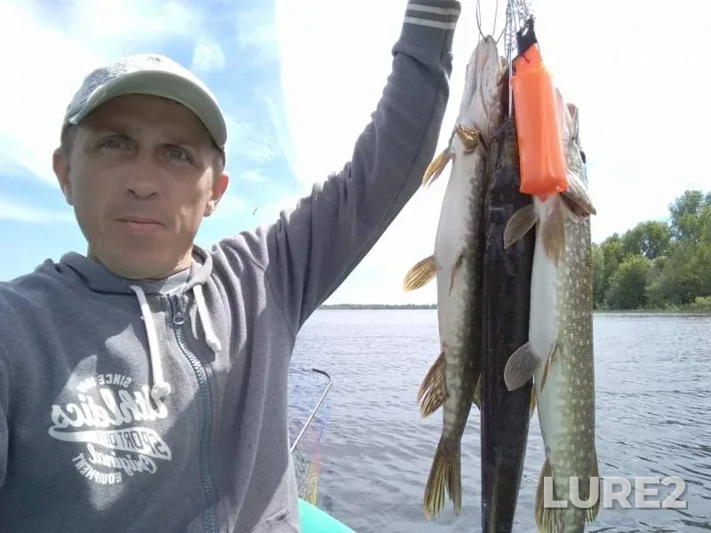 Pike — Samarskaya oblast, Jun 17, 2018