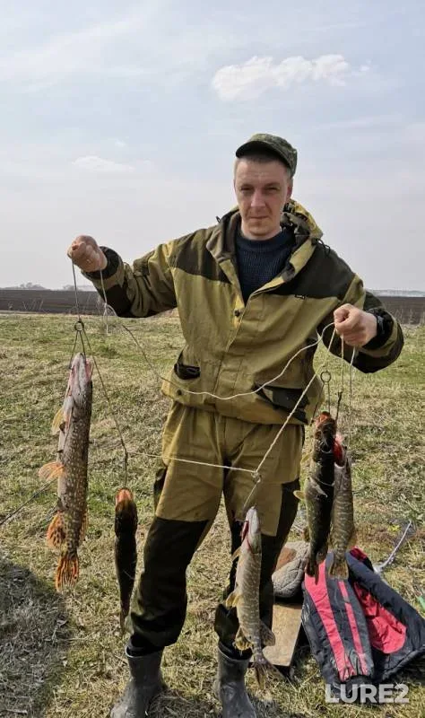 Pike — Khopyor, Apr 28, 2019