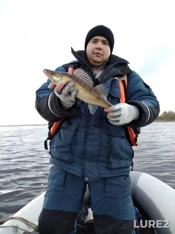 Zander — Pustynskoye, Oct 10, 2017