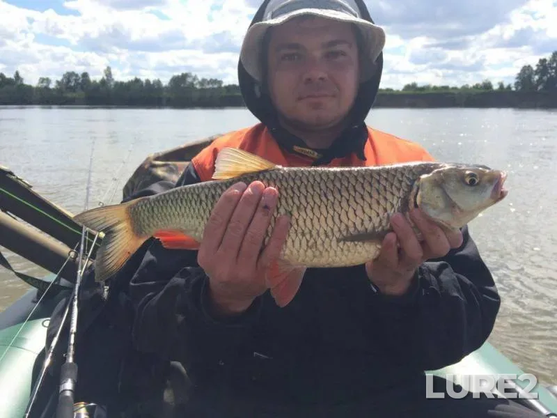 Chub — Ufa, Jun 27, 2017