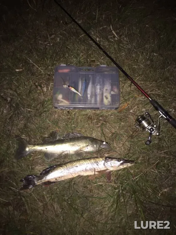 Pike, Zander — Nitsa, Oct 11, 2019