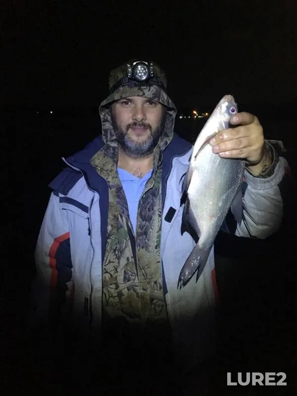 Bream — Chernoistochinskiy, Sep 14, 2019