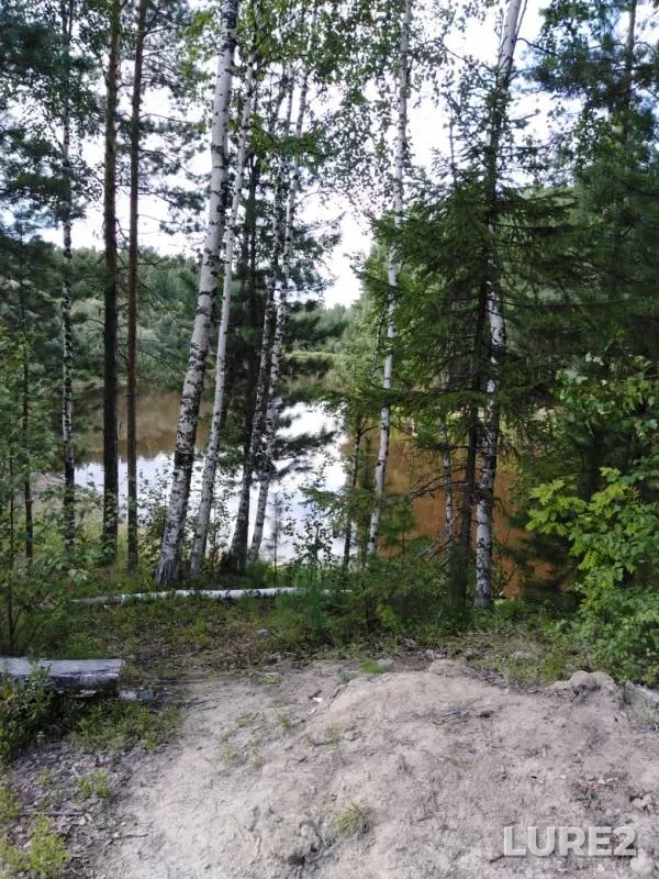 Perch, Pike — Yendyr, Aug 11, 2019
