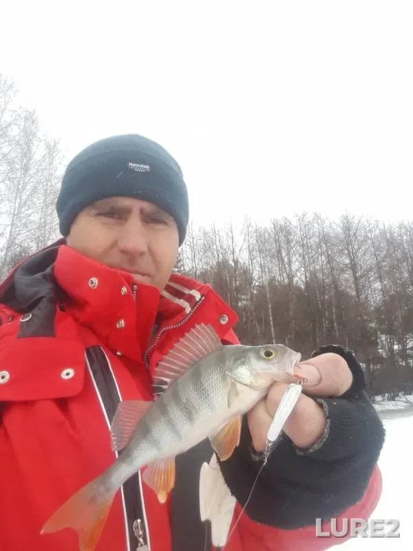 Perch — Koldais, Apr 06, 2019