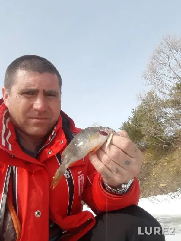 Perch — Koldais, Mar 31, 2019