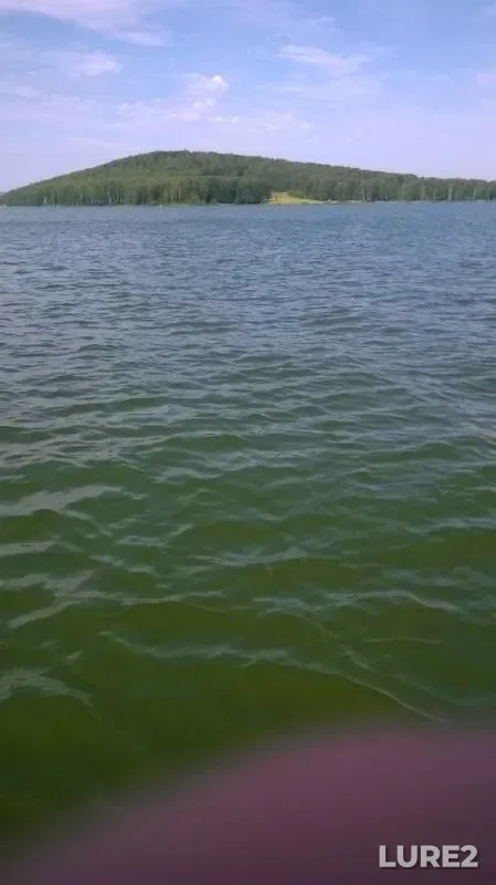 Bream, Perch — Chernoistochinskiy, Jul 14, 2019