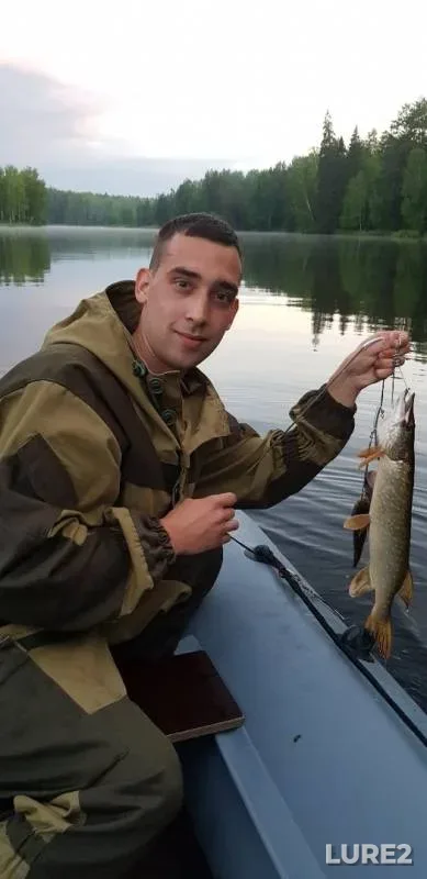 Perch, Pike — Verkhne-Vyyskoye, Jul 04, 2019